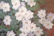 Claude Monet Clematis China oil painting reproduction